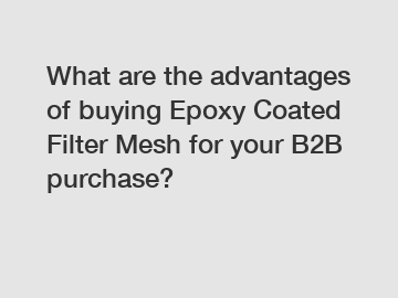 What are the advantages of buying Epoxy Coated Filter Mesh for your B2B purchase?