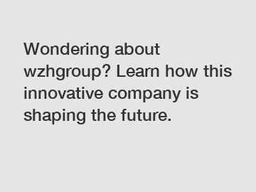 Wondering about wzhgroup? Learn how this innovative company is shaping the future.