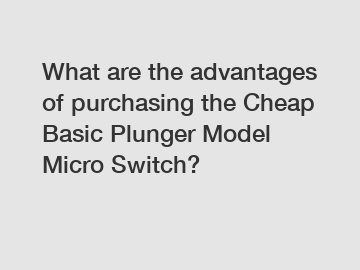 What are the advantages of purchasing the Cheap Basic Plunger Model Micro Switch?