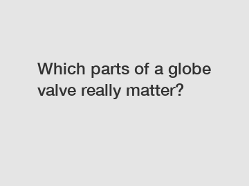 Which parts of a globe valve really matter?