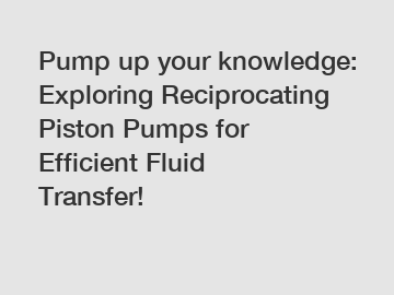 Pump up your knowledge: Exploring Reciprocating Piston Pumps for Efficient Fluid Transfer!