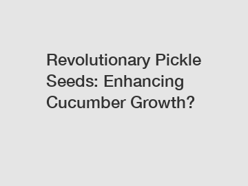 Revolutionary Pickle Seeds: Enhancing Cucumber Growth?