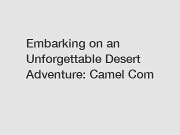 Embarking on an Unforgettable Desert Adventure: Camel Com