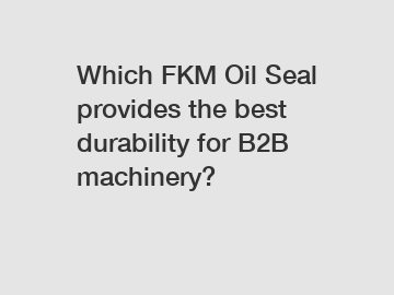 Which FKM Oil Seal provides the best durability for B2B machinery?