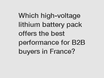 Which high-voltage lithium battery pack offers the best performance for B2B buyers in France?