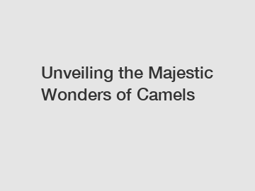 Unveiling the Majestic Wonders of Camels