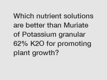 Which nutrient solutions are better than Muriate of Potassium granular 62% K2O for promoting plant growth?