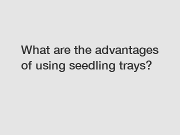 What are the advantages of using seedling trays?