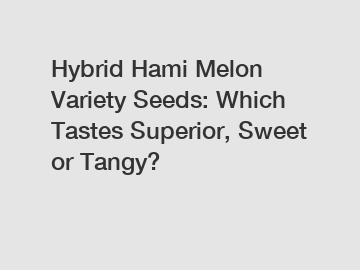 Hybrid Hami Melon Variety Seeds: Which Tastes Superior, Sweet or Tangy?