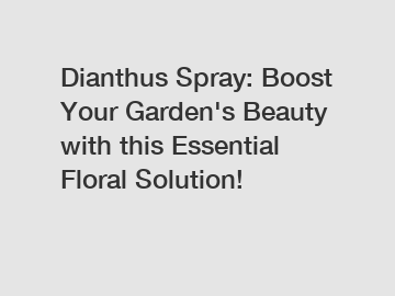Dianthus Spray: Boost Your Garden's Beauty with this Essential Floral Solution!
