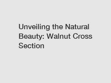 Unveiling the Natural Beauty: Walnut Cross Section