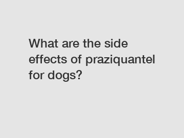 What are the side effects of praziquantel for dogs?