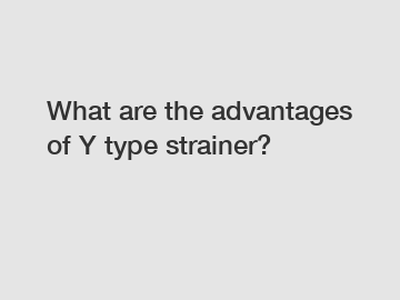What are the advantages of Y type strainer?