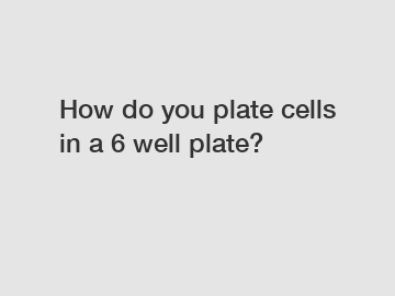 How do you plate cells in a 6 well plate?