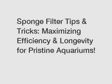 Sponge Filter Tips & Tricks: Maximizing Efficiency & Longevity for Pristine Aquariums!
