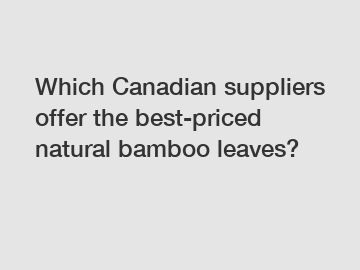 Which Canadian suppliers offer the best-priced natural bamboo leaves?