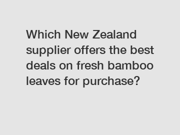 Which New Zealand supplier offers the best deals on fresh bamboo leaves for purchase?