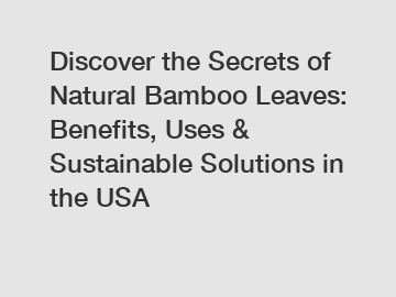 Discover the Secrets of Natural Bamboo Leaves: Benefits, Uses & Sustainable Solutions in the USA