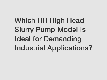 Which HH High Head Slurry Pump Model Is Ideal for Demanding Industrial Applications?