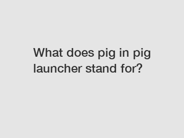 What does pig in pig launcher stand for?