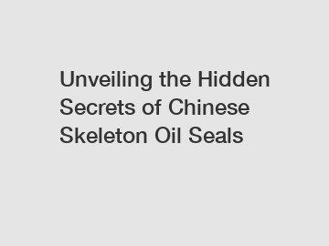 Unveiling the Hidden Secrets of Chinese Skeleton Oil Seals