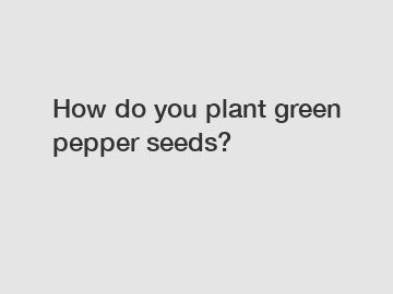 How do you plant green pepper seeds?