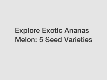 Explore Exotic Ananas Melon: 5 Seed Varieties