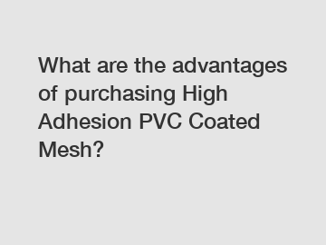 What are the advantages of purchasing High Adhesion PVC Coated Mesh?