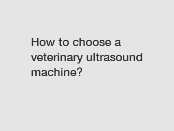 How to choose a veterinary ultrasound machine?
