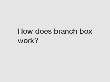 How does branch box work?