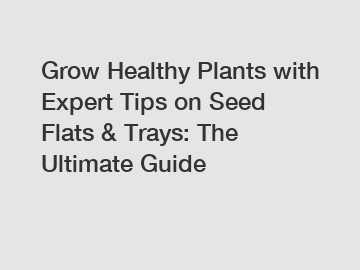 Grow Healthy Plants with Expert Tips on Seed Flats & Trays: The Ultimate Guide