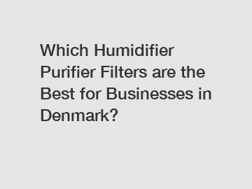 Which Humidifier Purifier Filters are the Best for Businesses in Denmark?