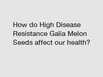How do High Disease Resistance Galia Melon Seeds affect our health?