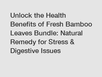 Unlock the Health Benefits of Fresh Bamboo Leaves Bundle: Natural Remedy for Stress & Digestive Issues