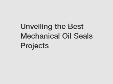 Unveiling the Best Mechanical Oil Seals Projects