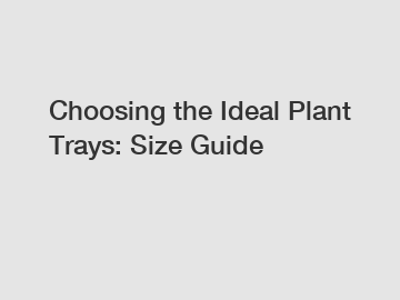 Choosing the Ideal Plant Trays: Size Guide