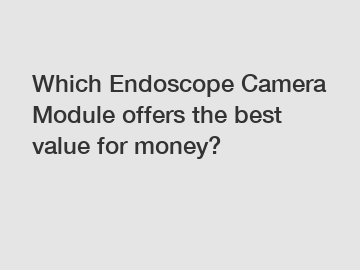 Which Endoscope Camera Module offers the best value for money?