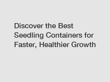 Discover the Best Seedling Containers for Faster, Healthier Growth