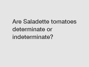 Are Saladette tomatoes determinate or indeterminate?