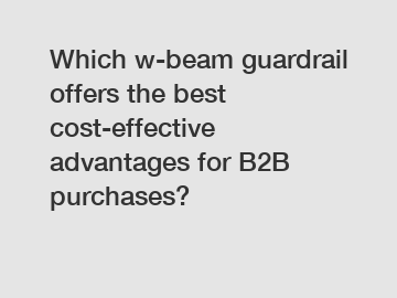 Which w-beam guardrail offers the best cost-effective advantages for B2B purchases?
