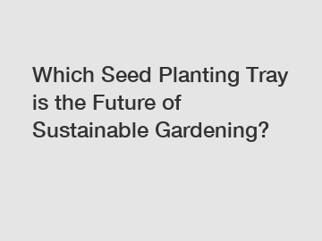 Which Seed Planting Tray is the Future of Sustainable Gardening?