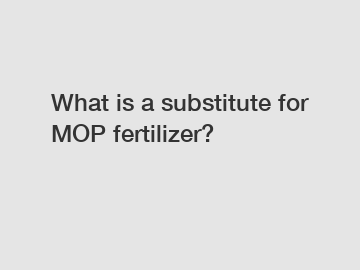 What is a substitute for MOP fertilizer?