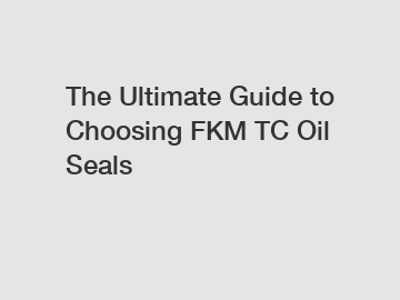 The Ultimate Guide to Choosing FKM TC Oil Seals