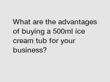 What are the advantages of buying a 500ml ice cream tub for your business?