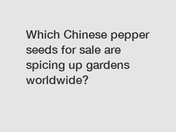 Which Chinese pepper seeds for sale are spicing up gardens worldwide?