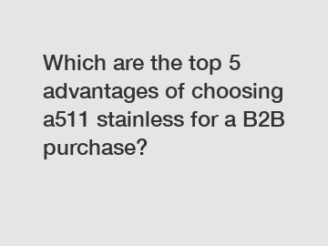 Which are the top 5 advantages of choosing a511 stainless for a B2B purchase?