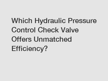 Which Hydraulic Pressure Control Check Valve Offers Unmatched Efficiency?