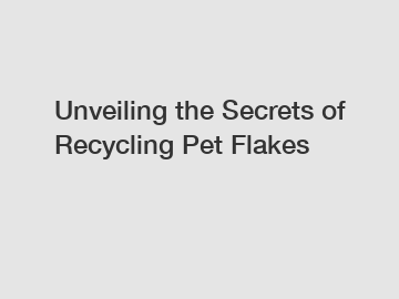 Unveiling the Secrets of Recycling Pet Flakes