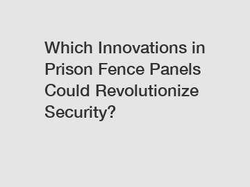 Which Innovations in Prison Fence Panels Could Revolutionize Security?