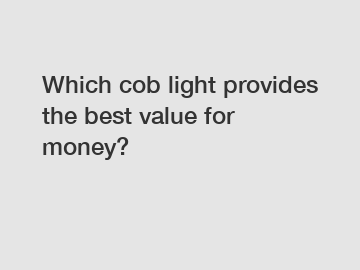 Which cob light provides the best value for money?